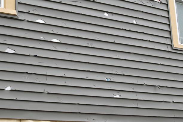 Best Fascia and Soffit Installation  in Caledonia, WI